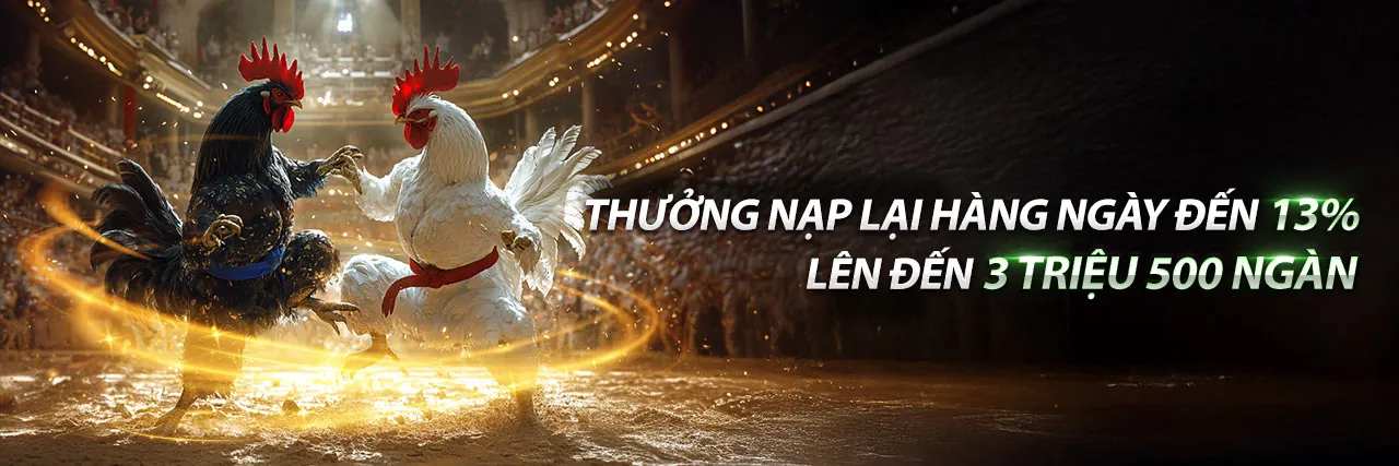 Đá Gà Trực Tuyến VN84