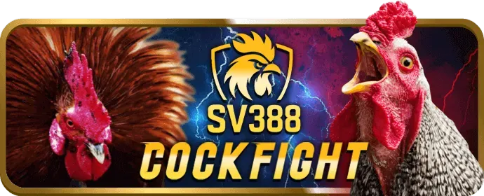 Hotline Hỗ trợ vn84