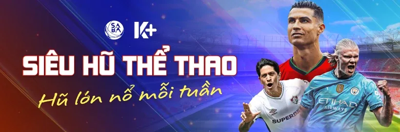 Hoàn trả hàng ngày VN84